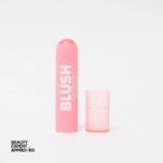 Technic Blush Stick