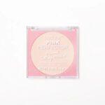 Technic Perfector Pressed Powders